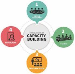 capacity building capacity building